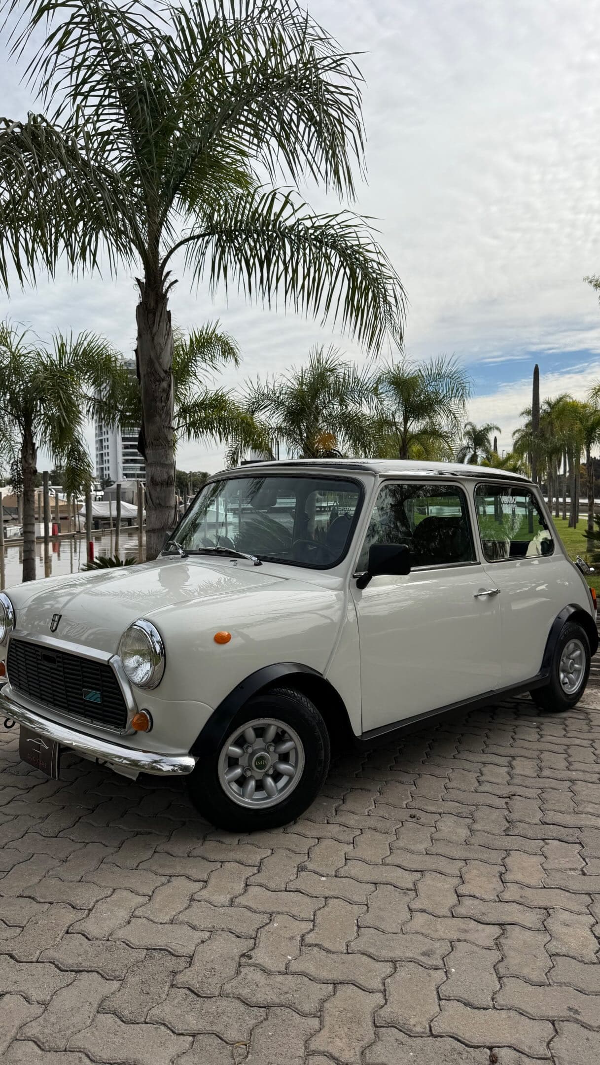 Mini Austin 1/14
