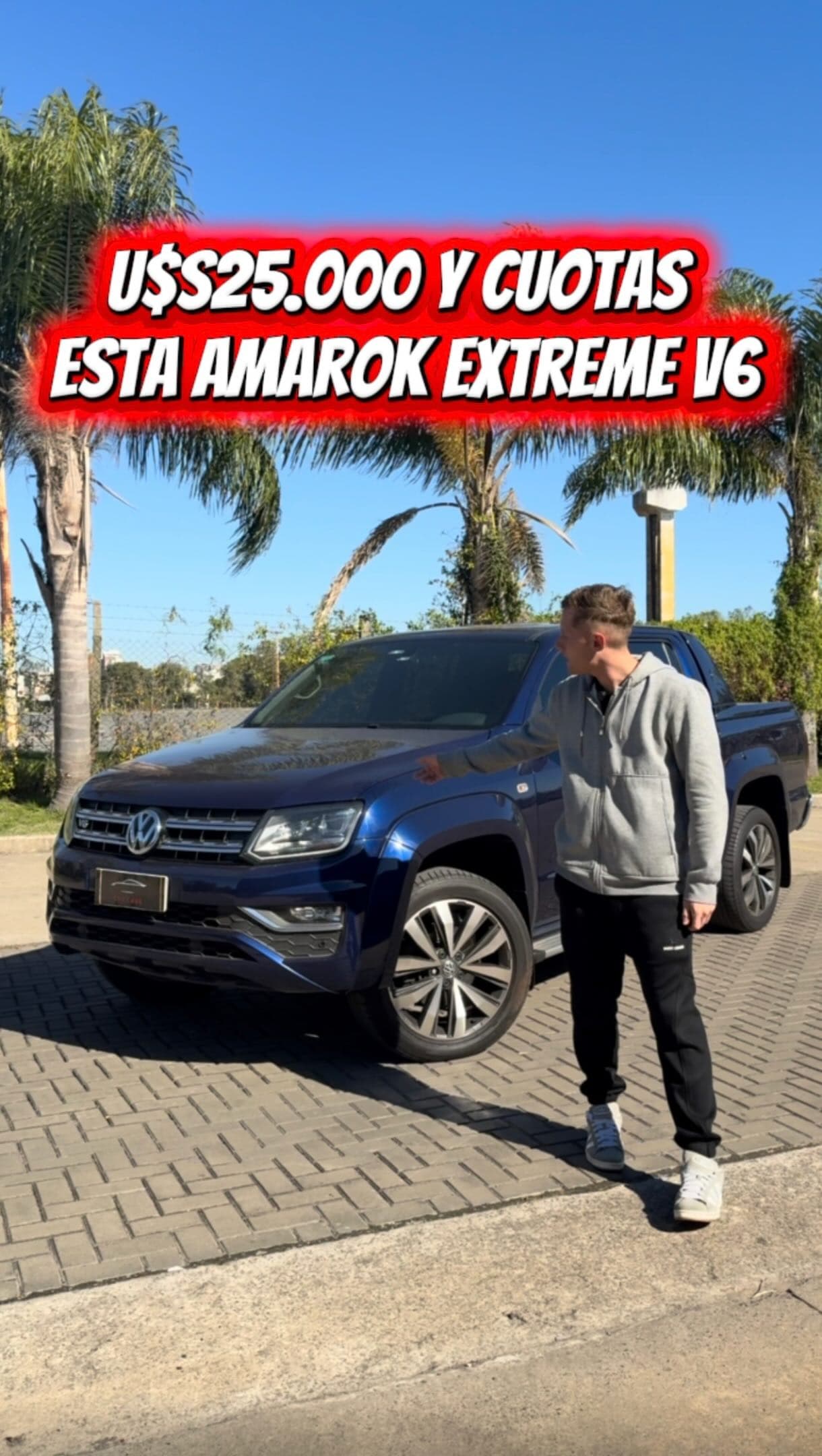 Amarok V6 Extreme 1/14